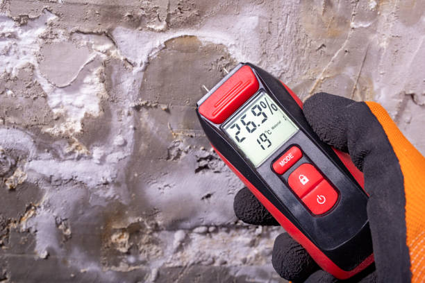 Best Certified Mold Removal  in Pleasanton, CA