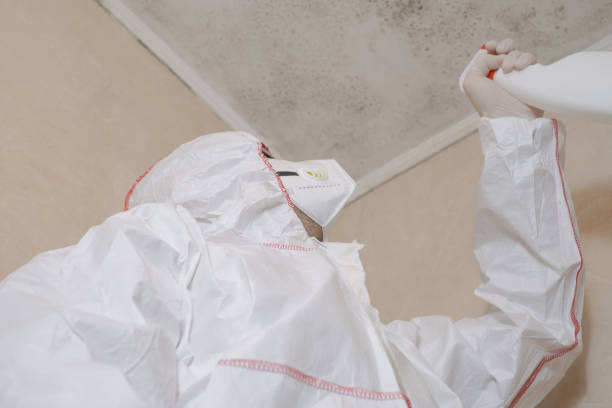 Best Mold Cleaning Services  in Pleasanton, CA