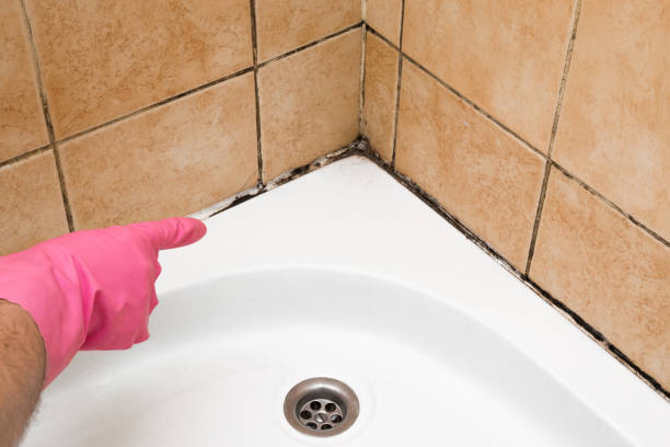 Best Mold Testing  in Pleasanton, CA